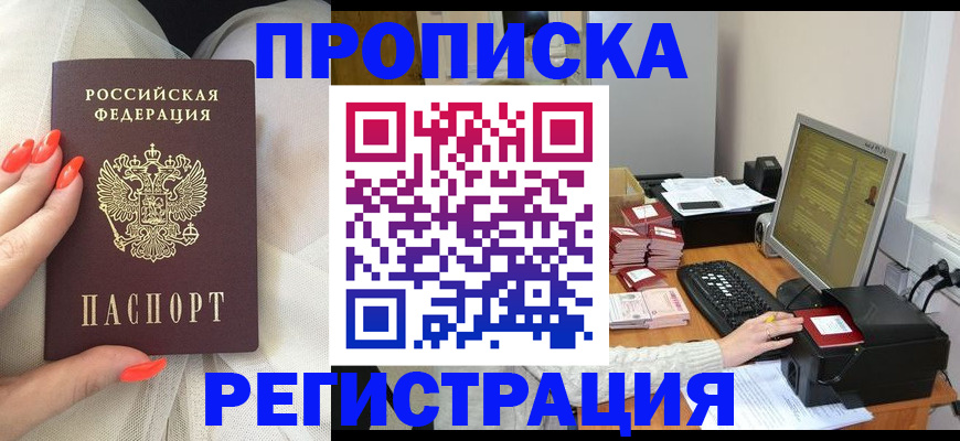 где прописаться в Купино